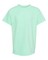 Comfort Colors® Garment Dyed Youth Heavyweight Crewneck Short Sleeve T-Shirt